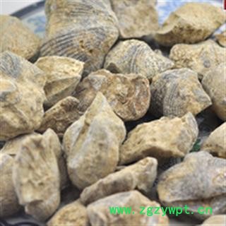 石燕 统 产地 湖南省郴州市市辖区图3