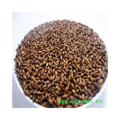 大麦茶  炒大麦  大麦 统货 产地 安徽省