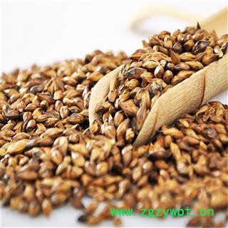 大麦茶  炒大麦  大麦 统货 产地 安徽省图4