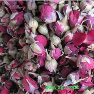 月季花 月季花大朵选货 质量好 价格低  产地 山东省图2