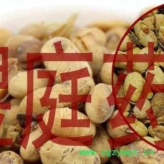 煜庭药业 大豆黄卷 大豆卷 黄豆卷图3