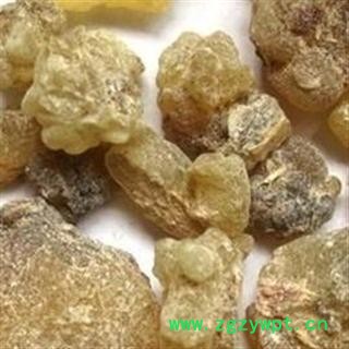 乳香 统货  批发各种中药材 花茶 矿石 产地 亳州药市图2