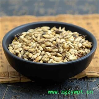 麦芽 麦芽统货 炒麦芽图2