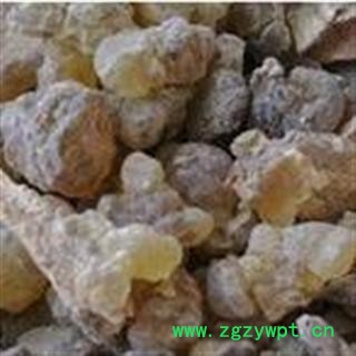 乳香 统 产地 海外印尼图2