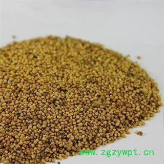 精品炒谷芽选货 芽多 质量好 价格低 规格齐全  产地 山东省图2