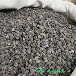 安祁名药优质豆豉 淡豆豉 干蒸无盐淡豆豉图2