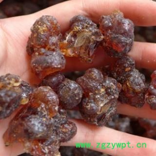 诺源药材行桃胶 各种规格齐全图2