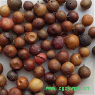 诺源中药材天竺黄 天竺子 南天竹图2