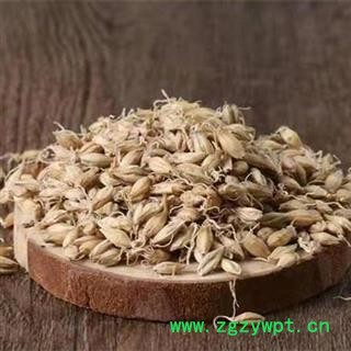 【新货】秦岭农家生大麦芽 特级野生麦芽 散装500g图3