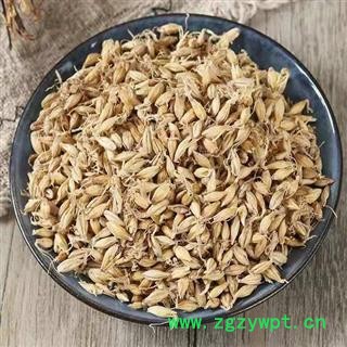 【新货】秦岭农家生大麦芽 特级野生麦芽 散装500g图2