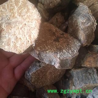 安祁名药阿魏  草阿魏  五彩阿魏图2