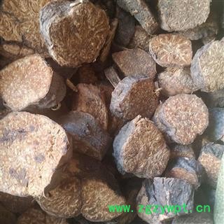 安祁名药阿魏  草阿魏  五彩阿魏图4