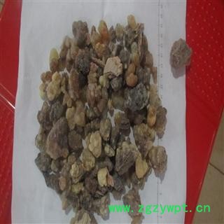 制乳香 炒乳香 精品乳香 好统货 今年新货 无杂质 春节回馈客户  产地 海外图3