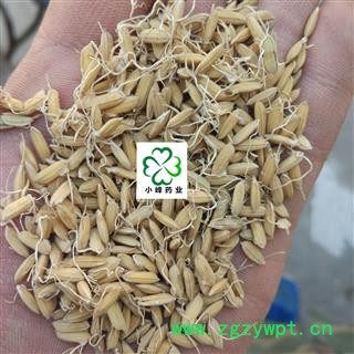 稻芽 选 新货 产地 安徽省图2