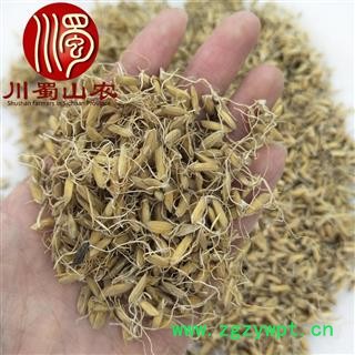 谷芽生货无硫统货散装1公斤起批稻芽产地直供川蜀山农中药材批发图2