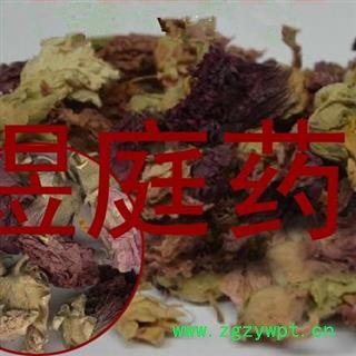 煜庭药业  红蜀季花 蜀葵花 正品图4