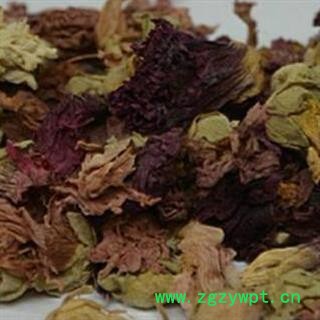 煜庭药业  红蜀季花 蜀葵花 正品图3