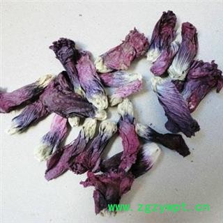 煜庭药业  红蜀季花 蜀葵花 正品图2