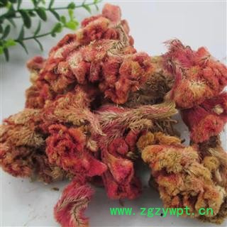 鸡冠花 统货 产地 山东省图3