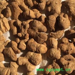 炮姜 统 产地 云南省图2