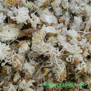 精品白菊花选货 颜色好 质量好 价格低 规格齐全  产地 河北省图2