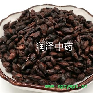 【麦芽 焦麦芽好统货】【润泽中药】中药材批发供应 规格齐全 量大从优图2