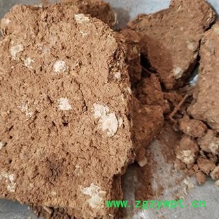 诺源药材行芜荑  臭芜荑 毛榆  山榆仁图2