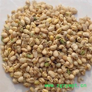 诺源药材行正品大豆黄卷 大黄豆卷 黑豆卷 大豆卷图2