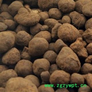 安祁名药正品无名异 土子 黑石子 铁砂 秃子图2