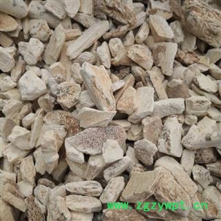 中药材 龙骨 水洗龙骨块 德誉堂药业批发各种中药材图3