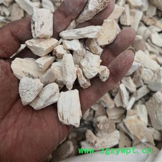 中药材 龙骨 水洗龙骨块 德誉堂药业批发各种中药材图4