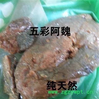 小丽百草行五彩阿魏  用途广泛图2