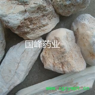 龙骨 正品水洗土龙骨个子 含量高  大块 足干 国峰药业 重在品质 产地 甘肃省图3