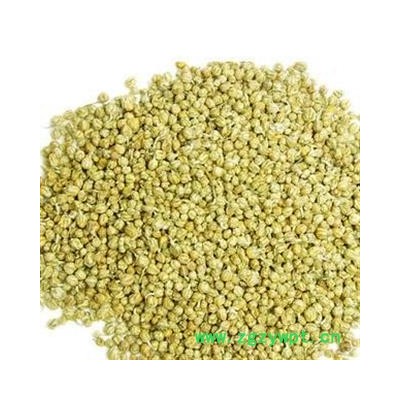 批发野菊花茶特级胎菊 黄山野菊米野生胎菊王