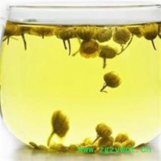 批发野菊花茶特级胎菊 黄山野菊米野生胎菊王图2