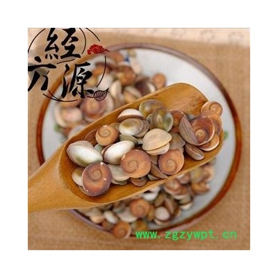 云母B 太极石 甲香  水云母 海月 统 产地 江苏省