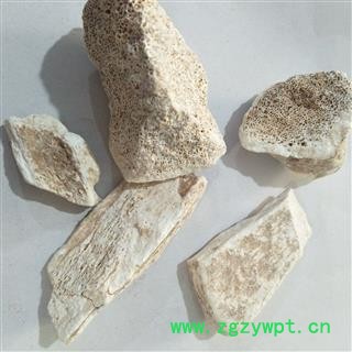 龙骨 新到龙骨块 产地 甘肃省图3