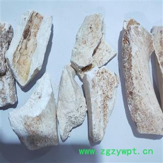 龙骨 新到龙骨块 产地 甘肃省图2