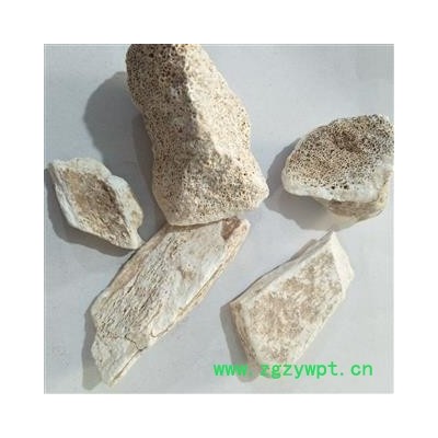 龙骨 新到龙骨块 产地 甘肃省