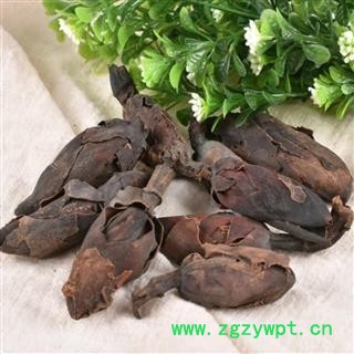 厚朴花 厚朴花统货 产地 四川省图3