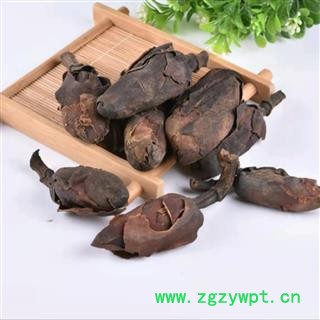 厚朴花 厚朴花统货 产地 四川省图2