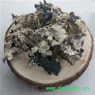 煜庭药业 石花图3