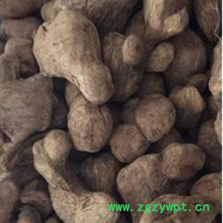 京辉药业 炮姜 炮姜 干姜 精品炮姜 产地 四川省 产地 四川省图2