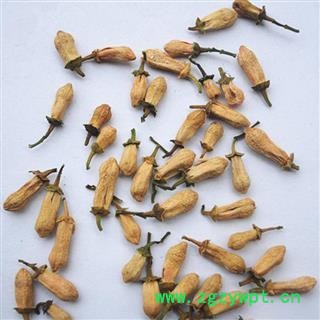 精品玳玳花选货 质量好 价格低 产地直销  产地 浙江省图2