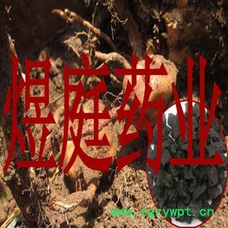 煜庭药业 制何首乌 制首乌 大货图2