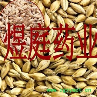 煜庭药业 麦芽 正品 大货图3