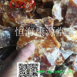 枫香脂 别称 白胶香 白云香图3