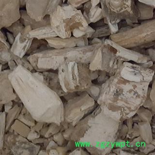 龙齿 白龙齿  统 产地 山西省 批发中药材龙齿图2