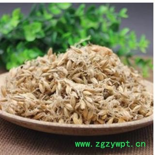 大麦芽 产地直销生麦芽 产地 山东省图4