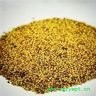 谷芽 炒谷芽 新货 纯干货 产地 山东省图2